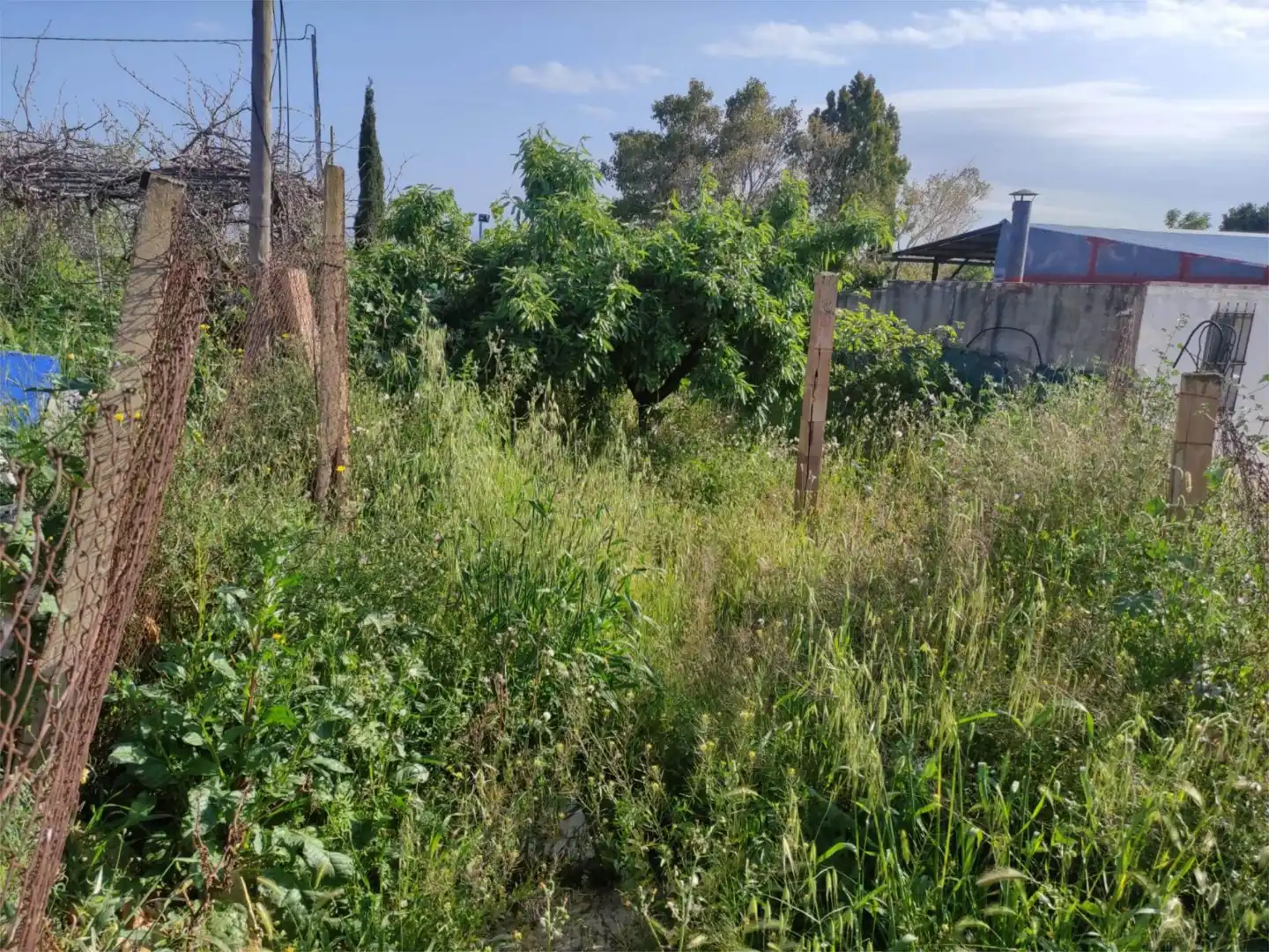 Finca rústica en venda en Murcia amb Terrassa, Traster i Piscina