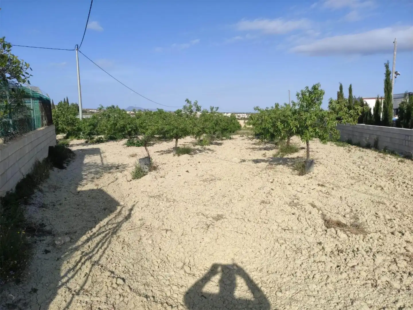 Finca rústica en venda en Murcia amb Terrassa, Traster i Piscina
