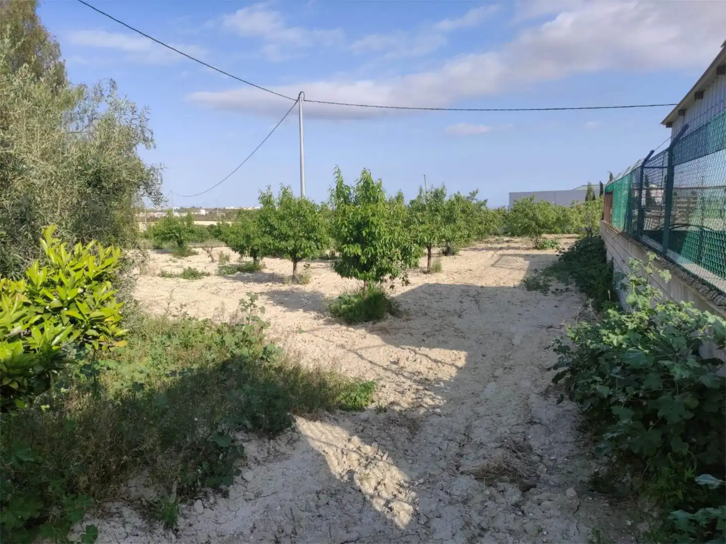 Finca rústica en venda en Murcia amb Terrassa, Traster i Piscina