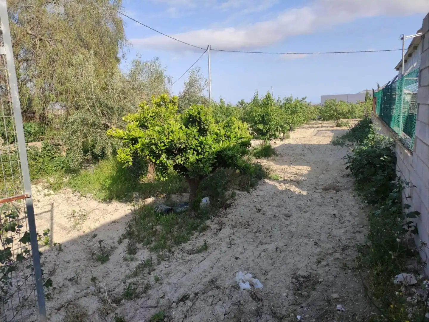 Finca rústica en venda en Murcia amb Terrassa, Traster i Piscina