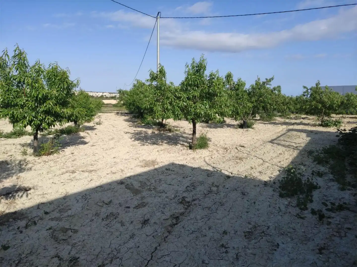 Finca rústica en venda en Murcia amb Terrassa, Traster i Piscina