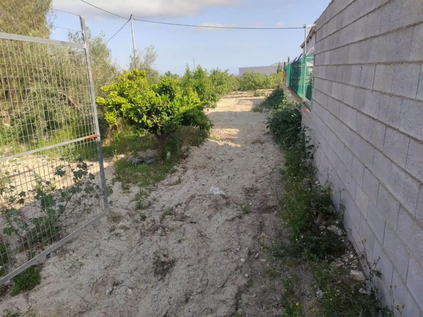 Finca rústica en venda en Murcia amb Terrassa, Traster i Piscina