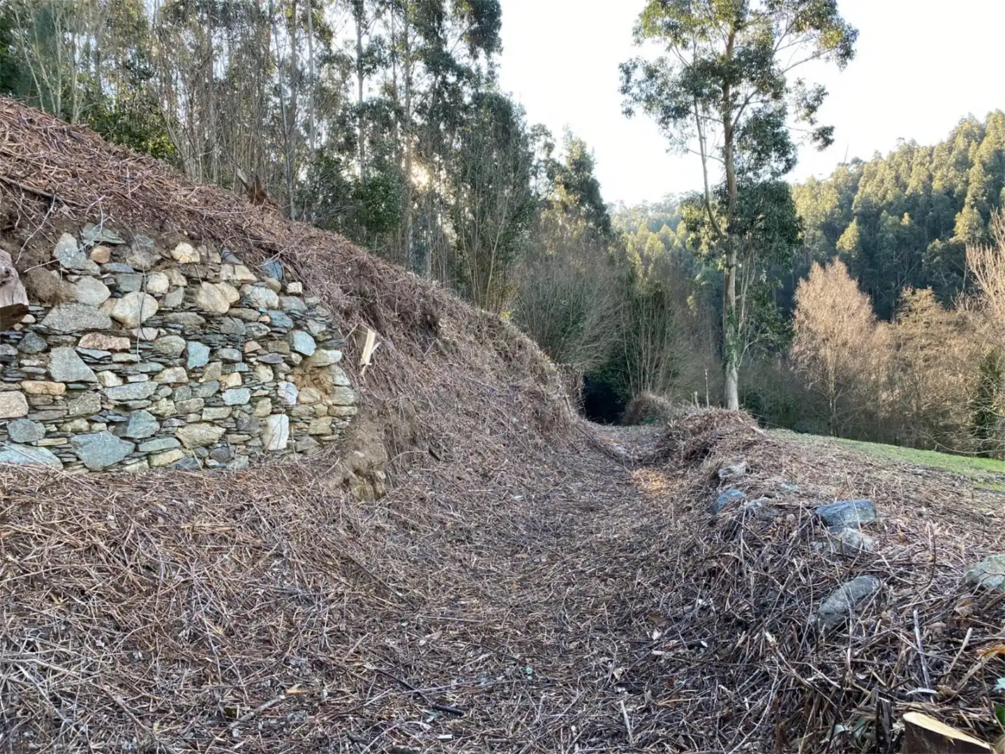 Finca rústica en venda a Lugar Casas Novas, 6, Valdoviño Finca rústica en venda en Valdoviño