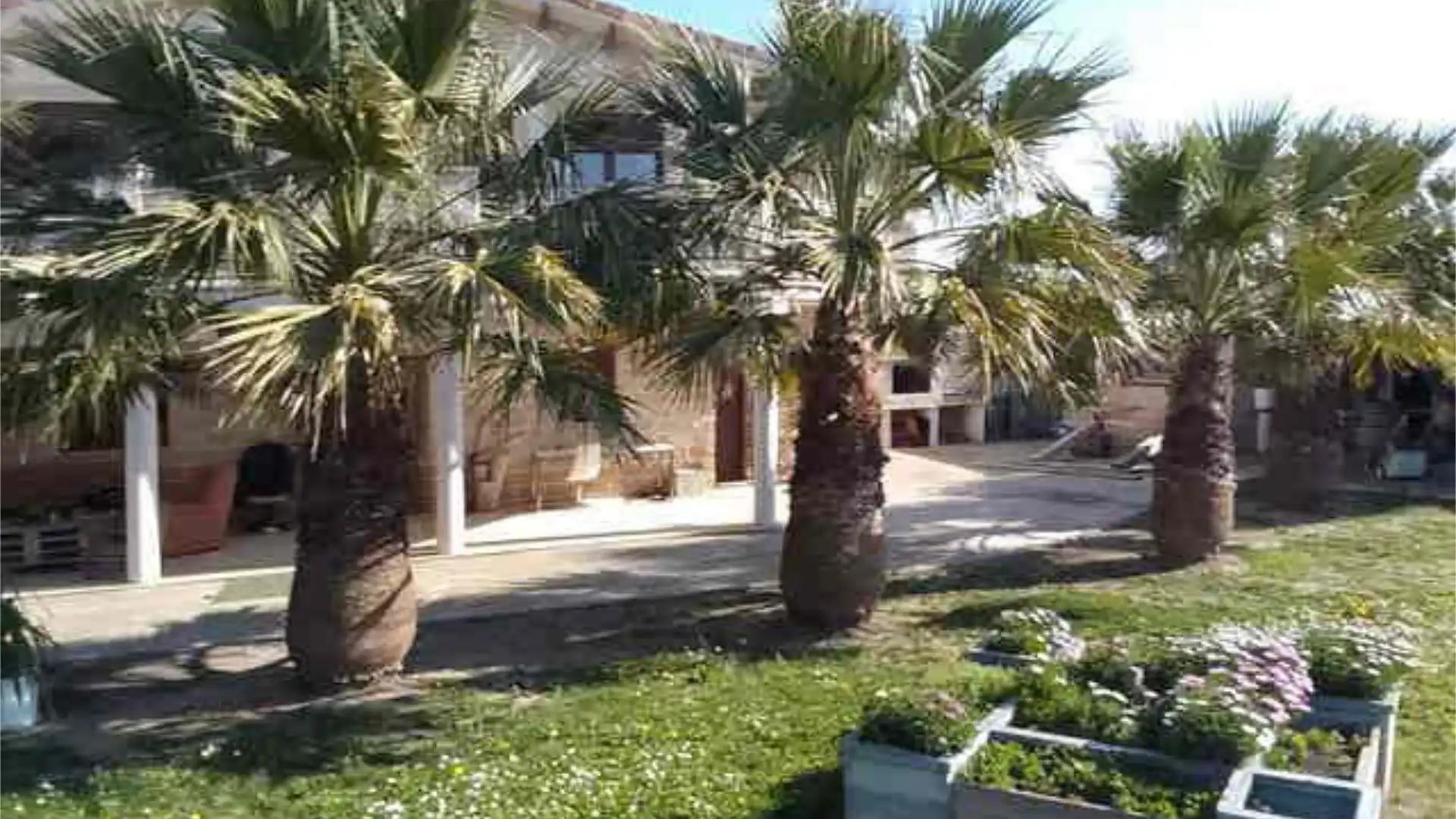 Jardín de Casa o chalet en venta en  Zaragoza Capital con Terraza