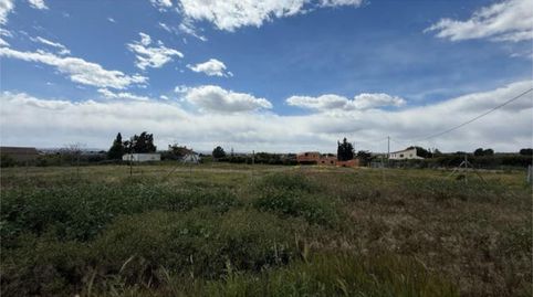 Detached homes for sale in El Raso, Guardamar del Segura - image 5 Photo 5 of Detached homes for sale in El Raso, Guardamar del Segura
