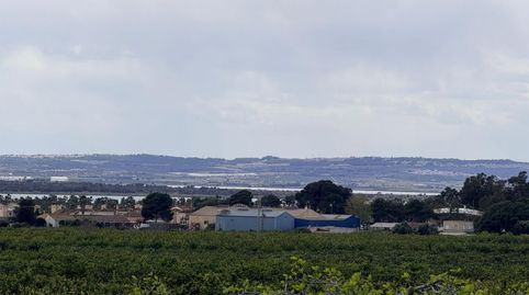 Foto 3 de Casa o chalet en venta en Partida el Aljibe, 86, El Raso, Guardamar del Segura