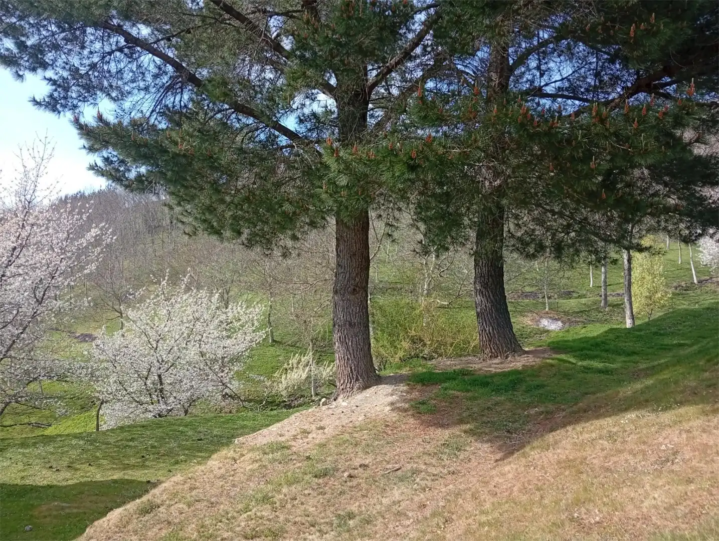Jardí de Casa o xalet en venda en Cervantes amb Calefacció, Jardí privat i Traster