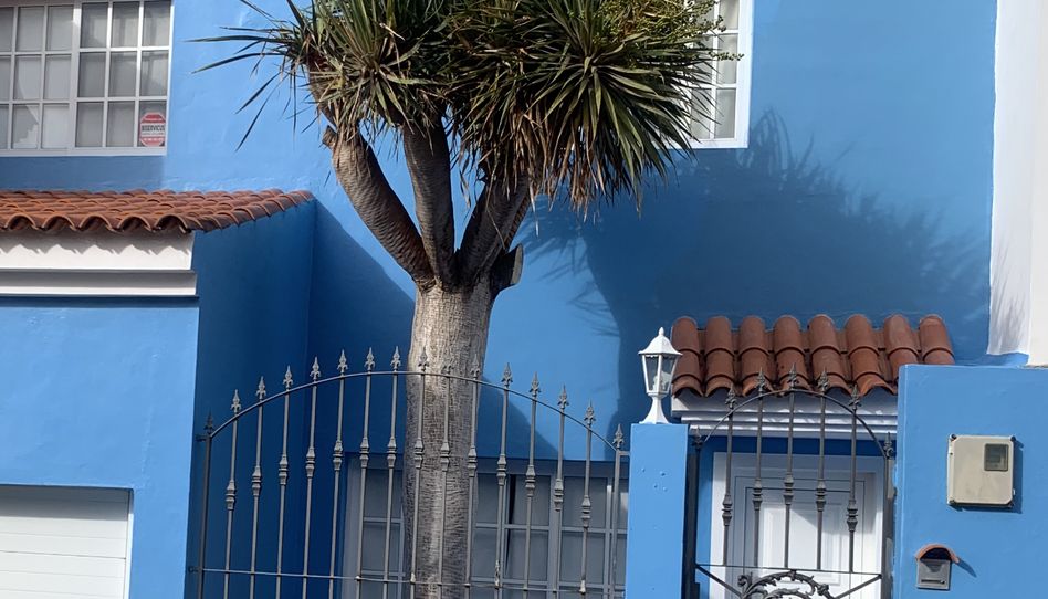 Casa adosada en venta en Calle Carretera San Antonio, 80, La Matanza de Acentejo, Santa Cruz de Tenerife - imagen 1 Foto 1 de Casa adosada en venta en Calle Carretera San Antonio, 80, La Matanza de Acentejo, Santa Cruz de Tenerife
