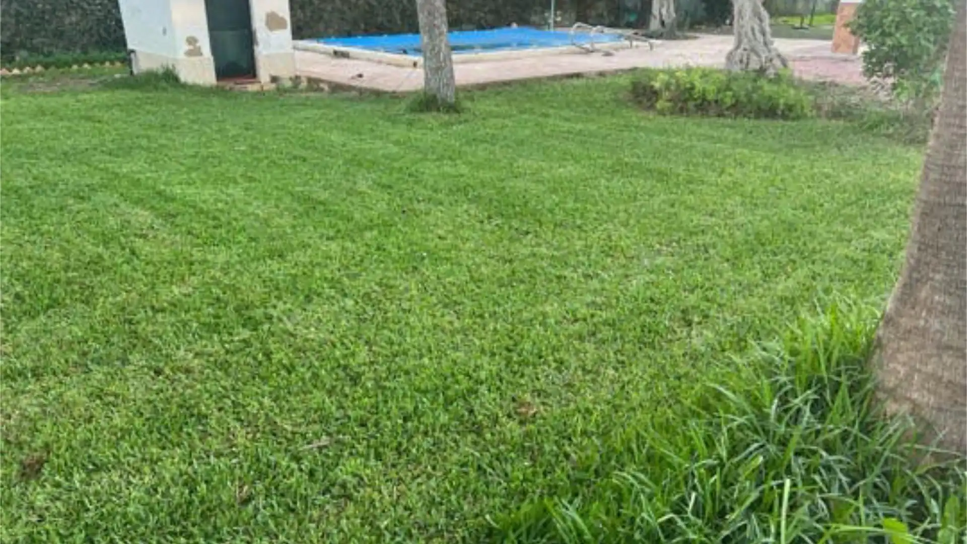 Casa adosada en venta en Pedanías Norte Jardín de Casa adosada en venta en Utrera con Jardín privado, Terraza y Trastero