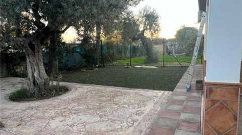 Foto 3 de Casa adosada en venta en Pedanías Norte, Utrera