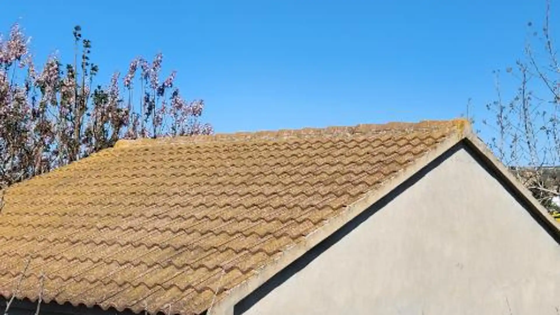 Vista exterior de Garaje de alquiler en Fraga