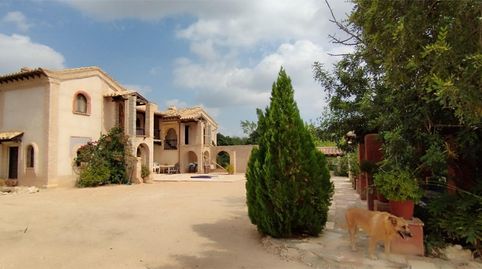 Foto 4 de Casa o chalet en venta en Carrer Sant Tomas, 6, Crevillent, Alicante