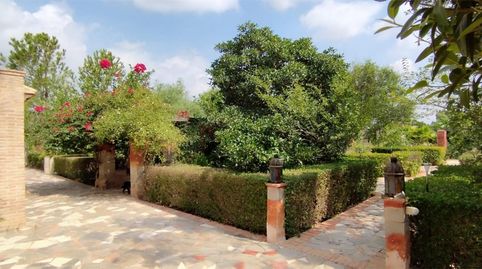 Foto 5 de Casa o chalet en venta en Carrer Sant Tomas, 6, Crevillent, Alicante