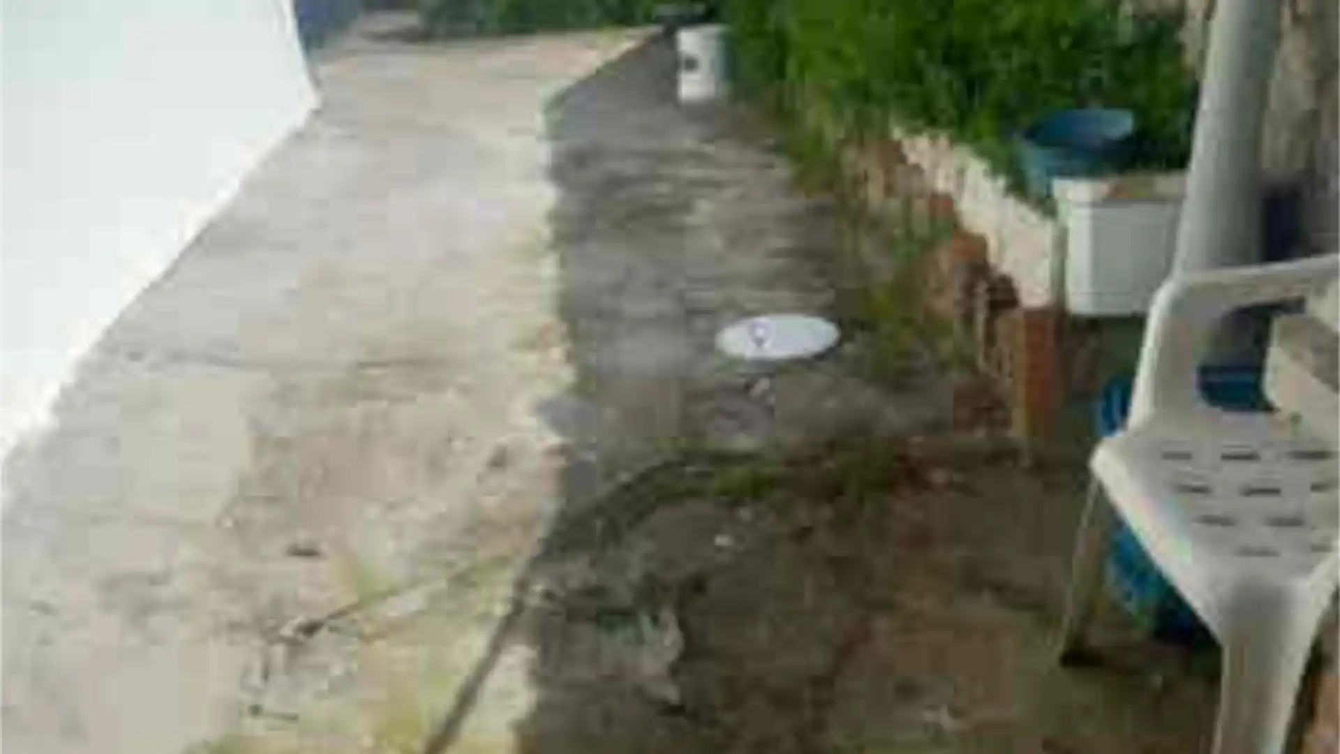 Jardín de Casa o chalet en venta en Brea de Tajo