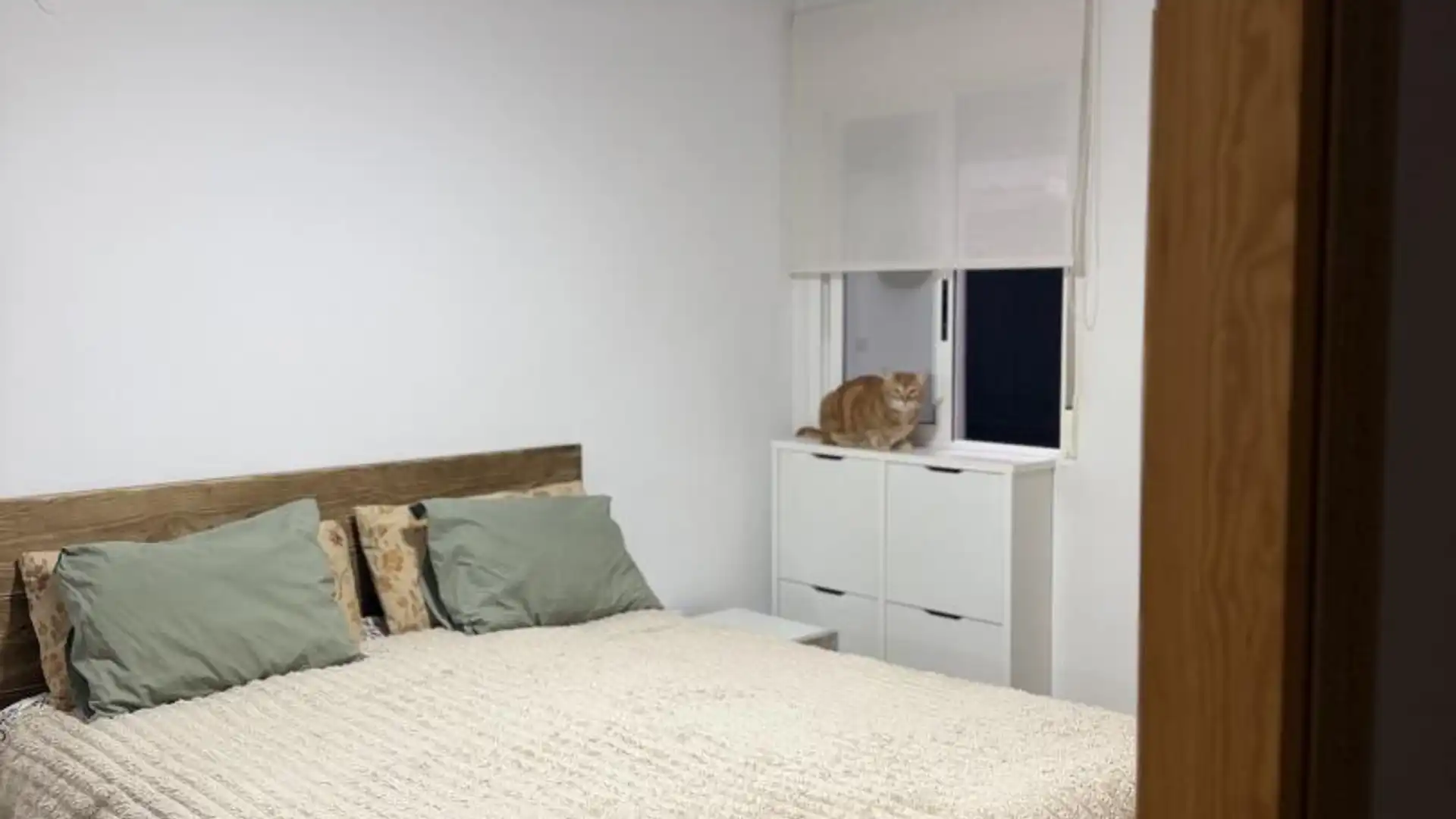 Bedroom of Flat for rent in San Vicente del Raspeig / Sant Vicent del Raspeig  with Air Conditioner, Heating and Parquet flooring