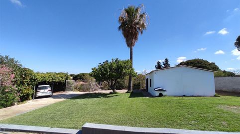 Country homes for sale in Camino del Guadalmesí, 9, Los Franceses – La Vega, Chiclana de la Frontera - image 3 Photo 3 of Country homes for sale in Camino del Guadalmesí, 9, Los Franceses – La Vega, Chiclana de la Frontera