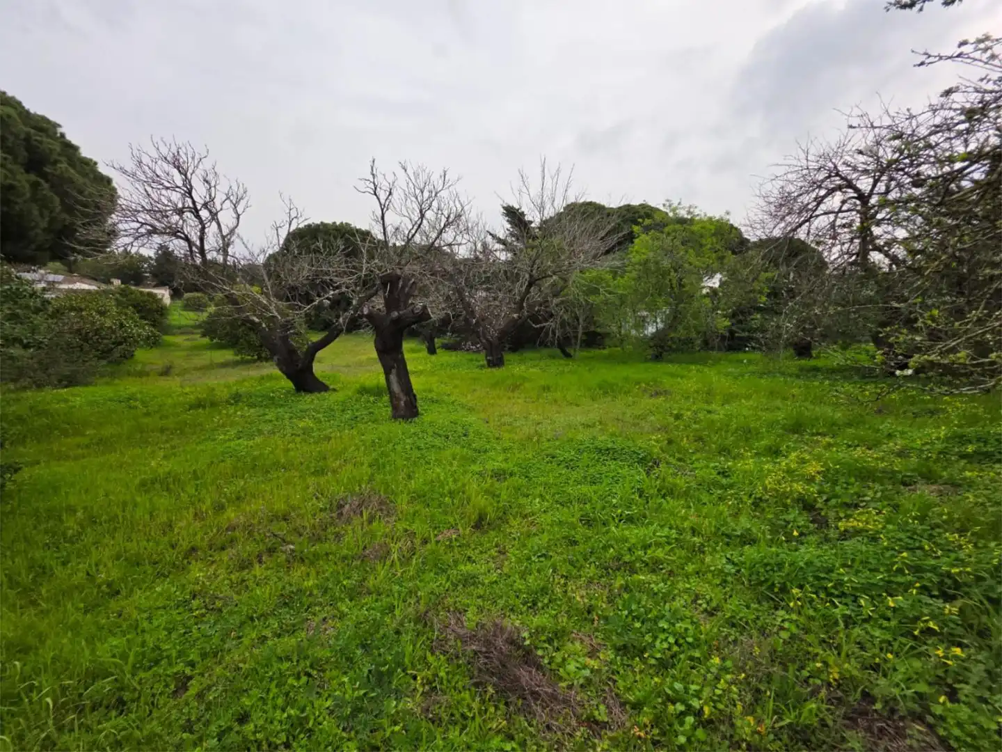 Finca rústica en venda a Camino del Guadalmesí, 9, Los Franceses – La Vega