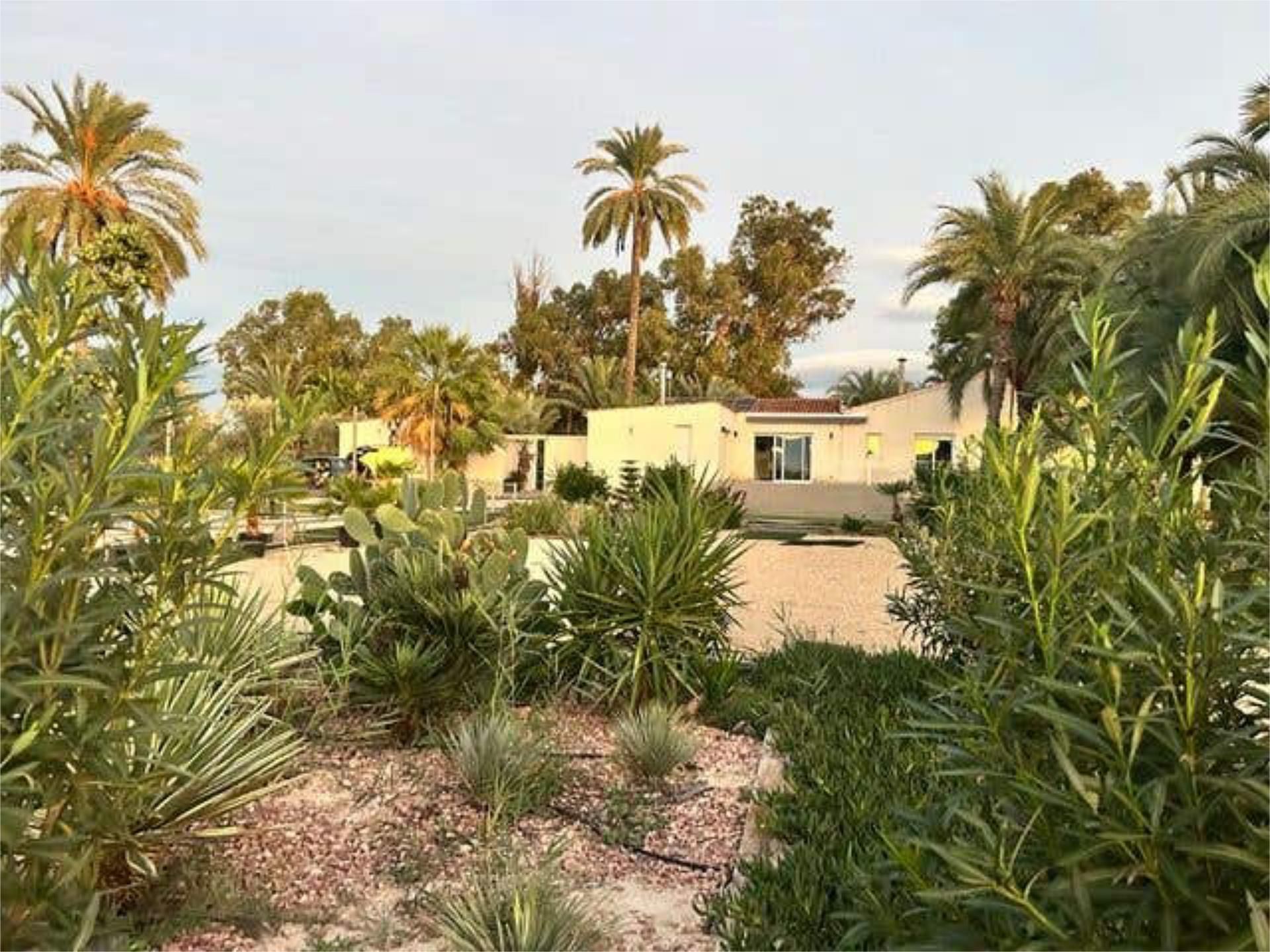 Jardín de Casa o chalet de alquiler en Elche / Elx con Calefacción, Jardín privado y Terraza