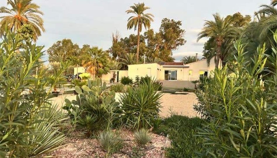 Casa o chalet de alquiler en La Algoda - Matola - Llano de San José, Elche / Elx - imagen 1 Foto 1 de Casa o chalet de alquiler en La Algoda - Matola - Llano de San José, Elche / Elx