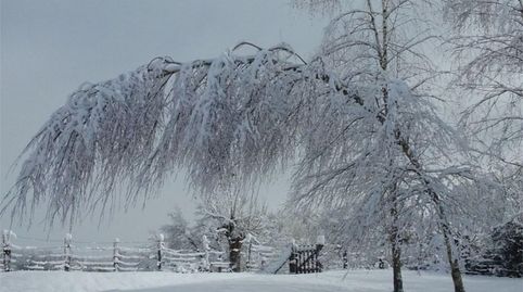 Foto 4 von Country house zum Verkauf in Larraun, Navarra