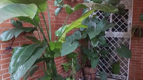 Foto 2 de Piso en venta en Calle Cueva del Gato, 3, Urbadiez - Entrepuentes, Sevilla Capital