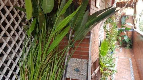 Foto 3 de Piso en venta en Calle Cueva del Gato, 3, Urbadiez - Entrepuentes, Sevilla Capital