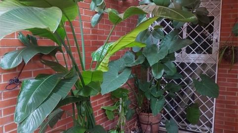 Foto 4 de Piso en venta en Calle Cueva del Gato, 3, Urbadiez - Entrepuentes, Sevilla Capital