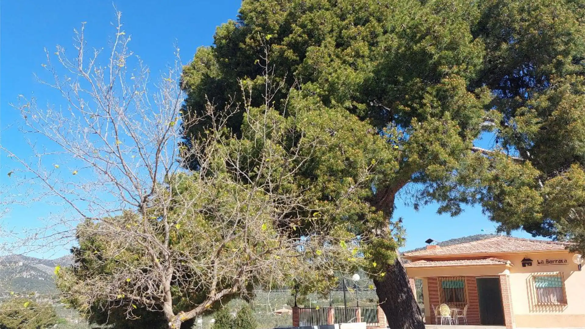 Jardín de Finca rústica en venta en Onil con Terraza, Piscina y Amueblado