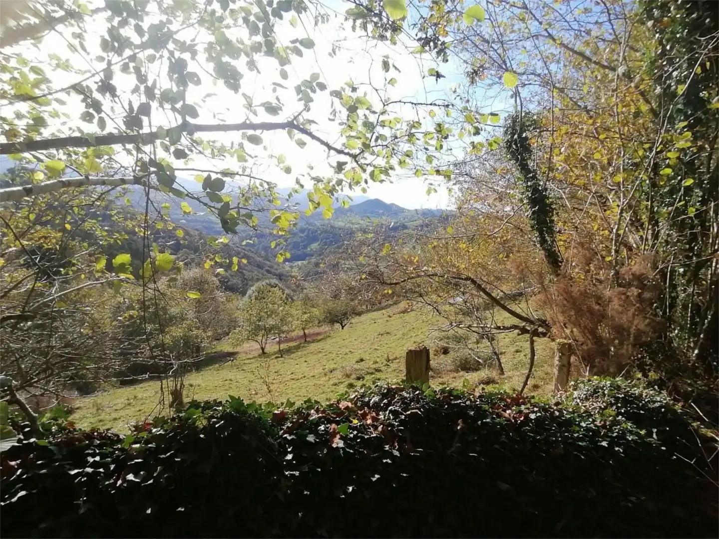 Exterior view of Flat for sale in Piloña  with Private garden and Balcony