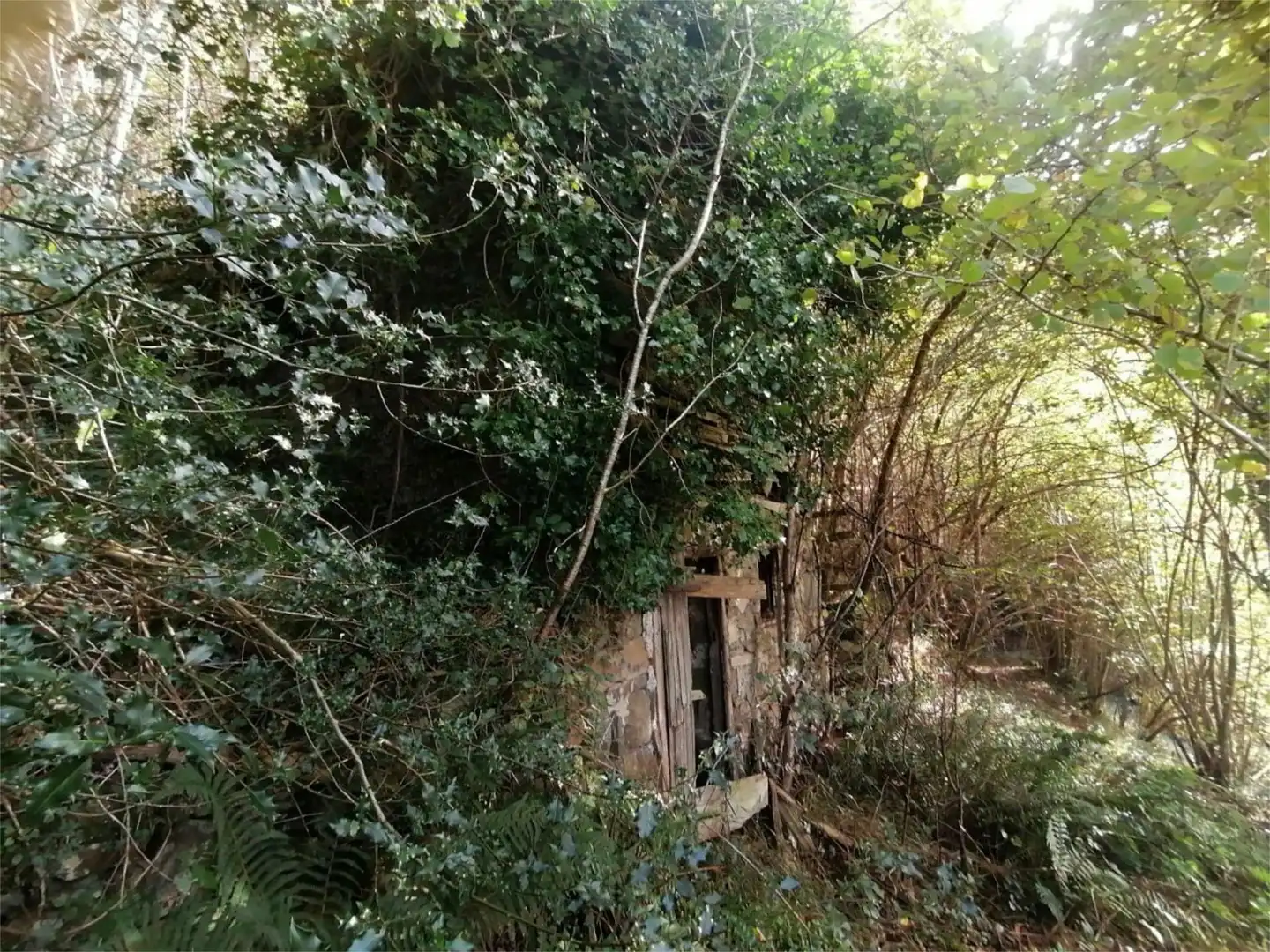 Garden of Flat for sale in Piloña  with Private garden and Balcony