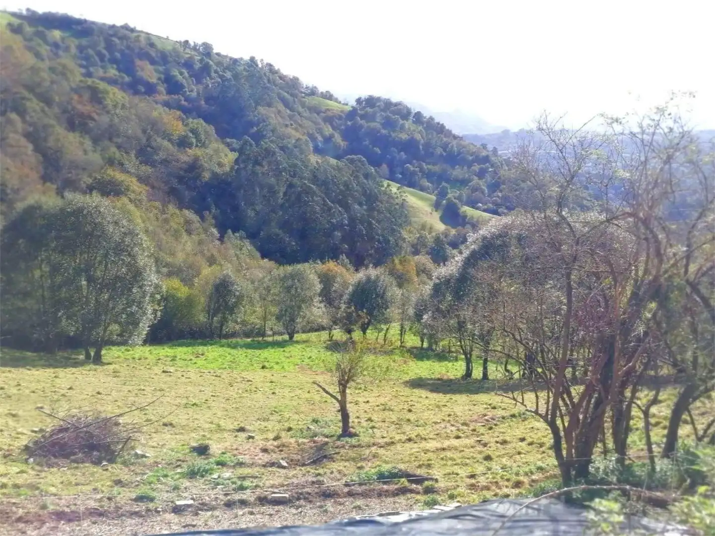 Flat for sale in Piloña  with Private garden and Balcony