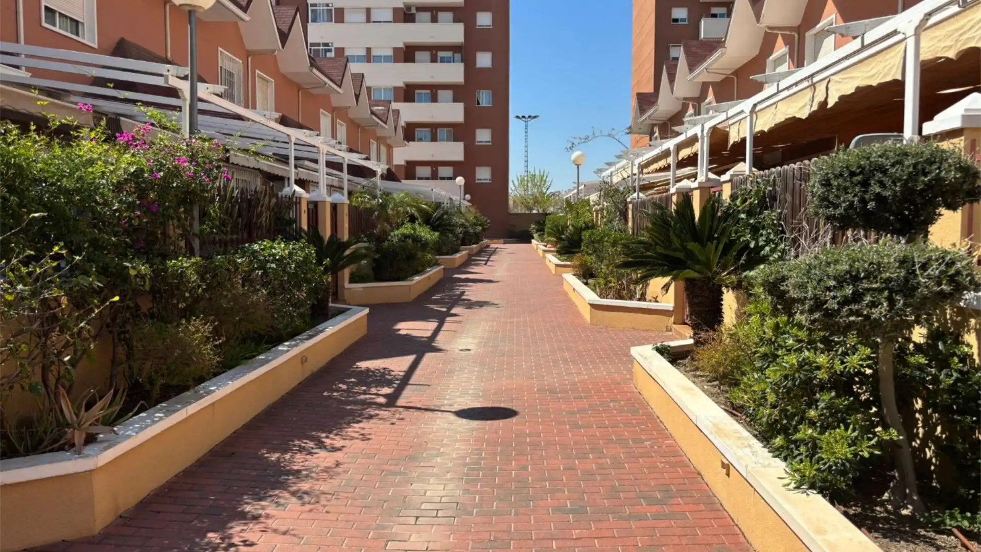 Casa o xalet en venda a Carrer Alberto Asencio Gonzalvez, 55, Ciutat Universitària Vista exterior de Casa o xalet en venda en Elche / Elx amb Aire condicionat, Calefacció i Terrassa