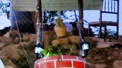 Foto 2 de Finca rústica en venta en Avenida Virgen del Puerto, 91, Gata, Cáceres