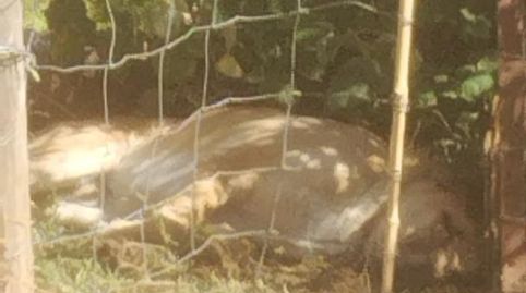 Foto 4 de Finca rústica en venta en Avenida Virgen del Puerto, 91, Gata, Cáceres