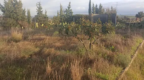 Foto 3 de Terreno en venta en Avenida Camino de Los Rostros, 6, Carretera de Sevilla - Los Montitos, Badajoz Capital