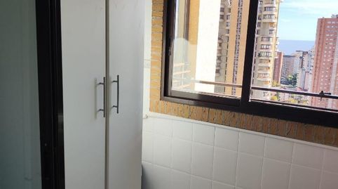 Foto 4 de Piso de alquiler en Calle Islandia, 11, Juzgados - Plaza de Toros, Benidorm