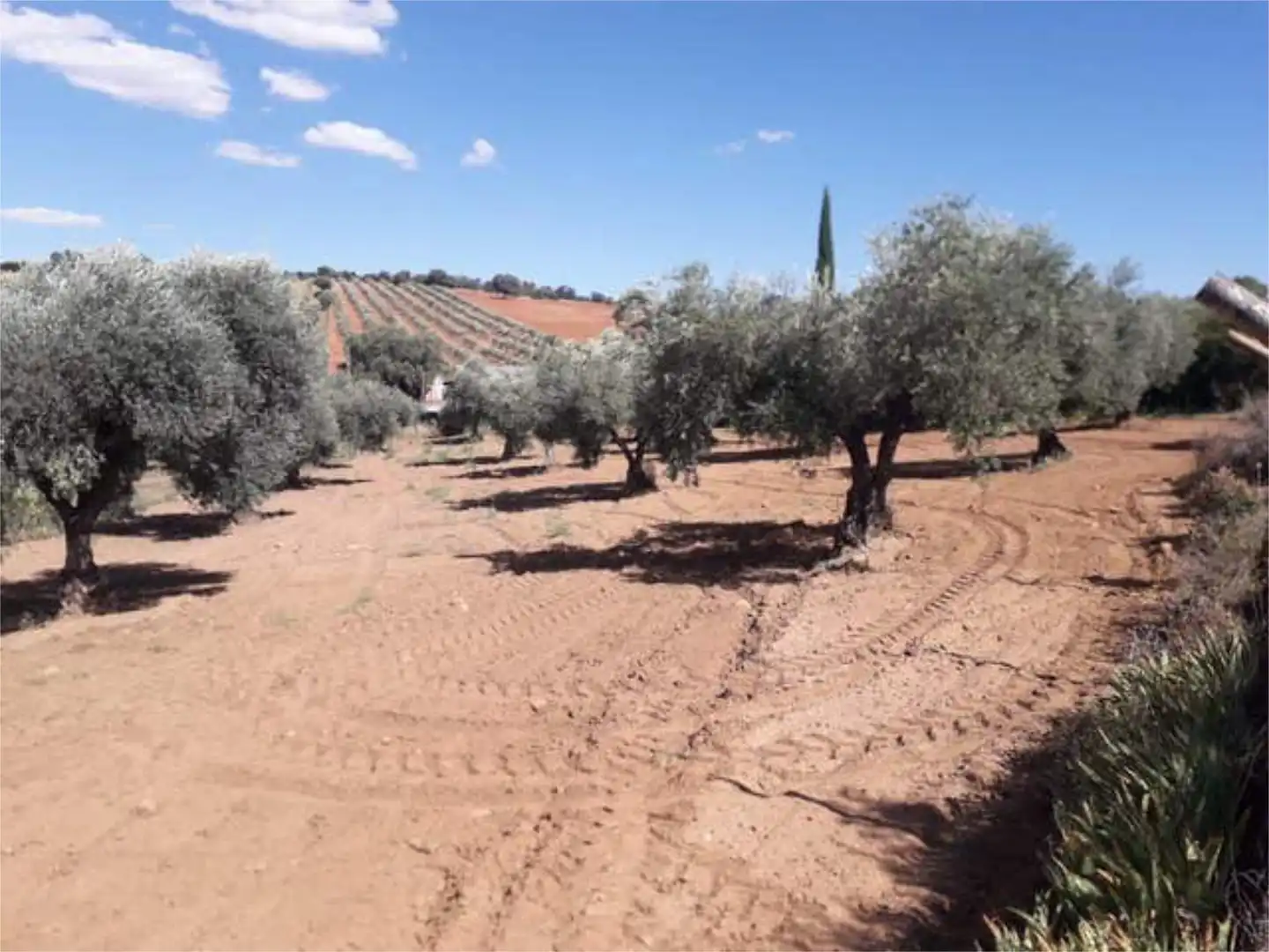 Casa adosada en venda a Los Navalmorales Casa adosada en venda en Los Navalmorales amb Calefacció, Jardí privat i Terrassa