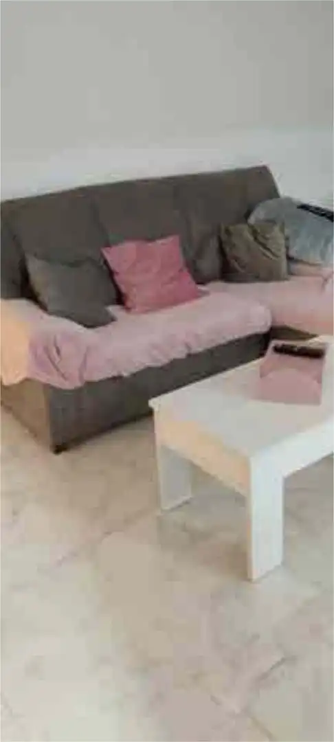 Sala de estar de Casa o chalet en venta en Petrer con Jardín privado, Trastero y Amueblado