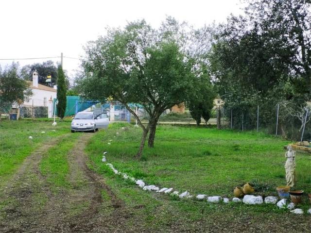 Finca rústica en Venta en Calle Castilblanco de los Arroyos, 1 en Palmete