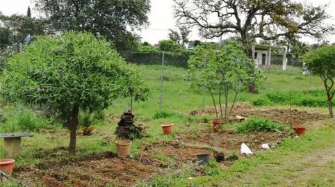 Foto 2 von Country house zum Verkauf in Calle Castilblanco de Los Arroyos, 1, Palmete, Sevilla Capital