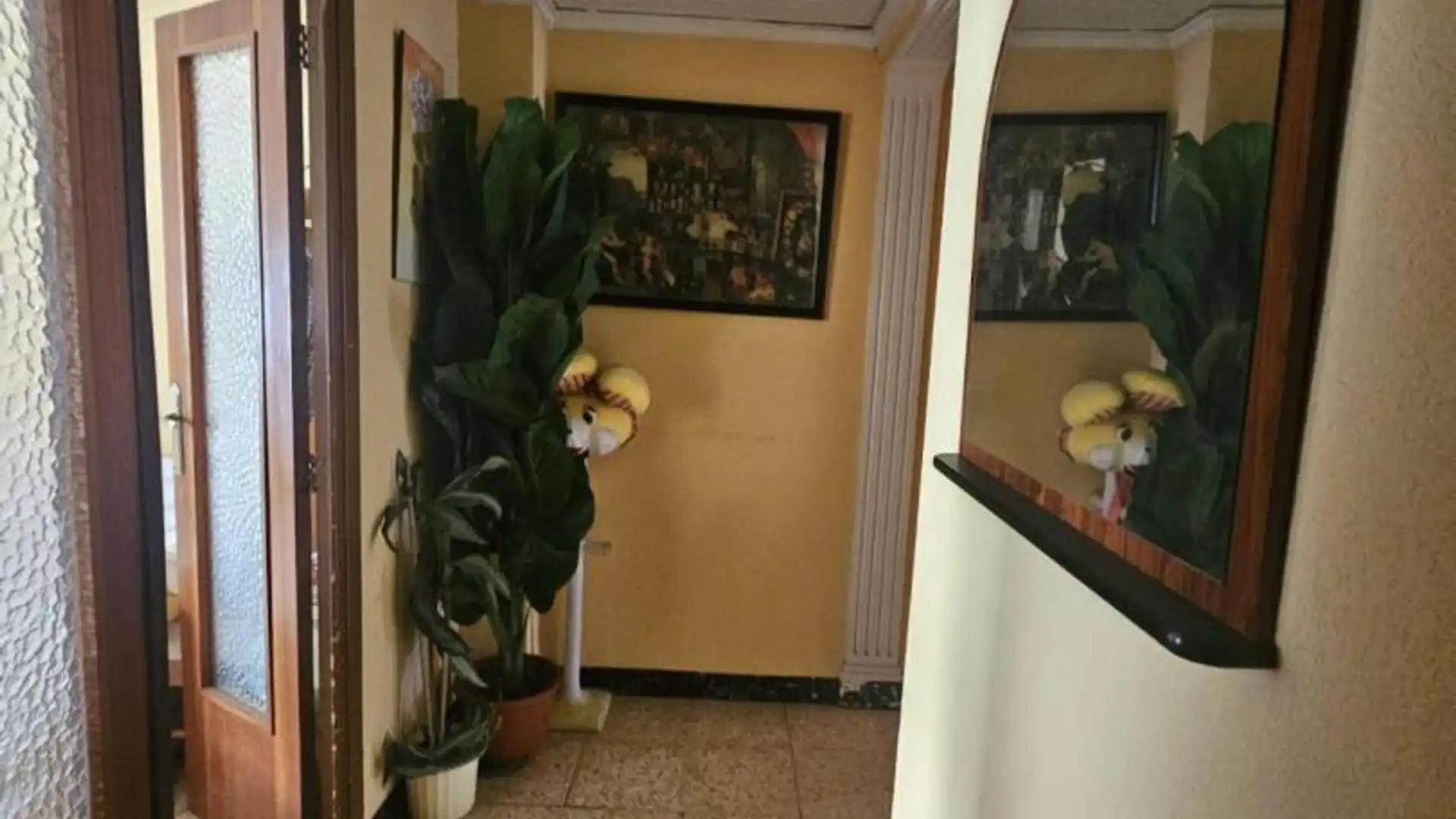 Flat for rent in Gandia  with Heating, Furnished and Balcony