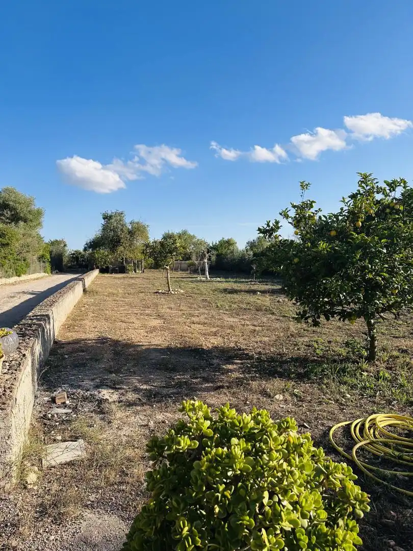 Finca rústica en venta en Camí de Ferrutxelles, 506, Llucmajor pueblo Finca rústica en venta en Camí de Ferrutxelles, 506, Llucmajor pueblo