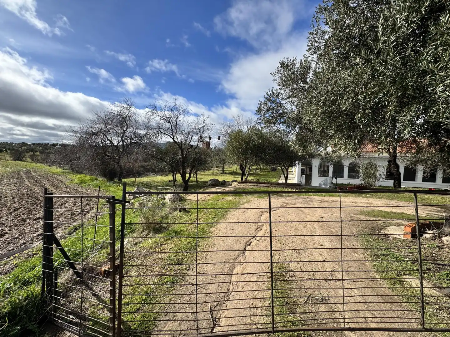 Finca rústica en venda a Avenida de la Constitución, 11, La Haba Finca rústica en venda en La Haba