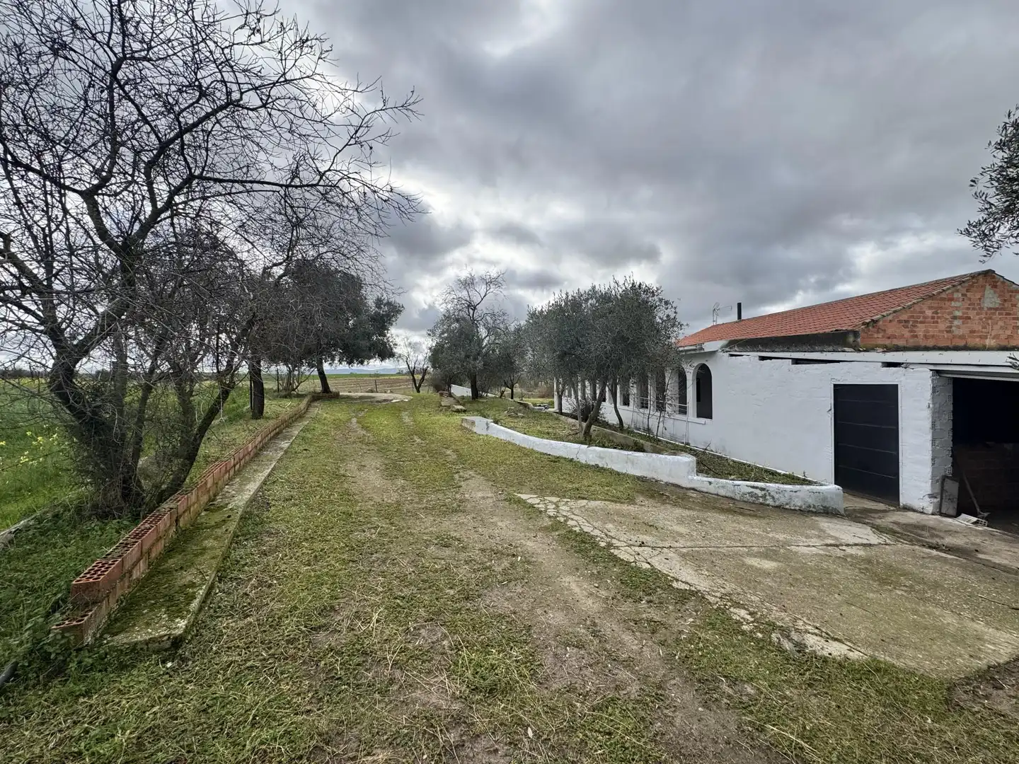 Finca rústica en venda a Avenida de la Constitución, 11, La Haba Finca rústica en venda en La Haba