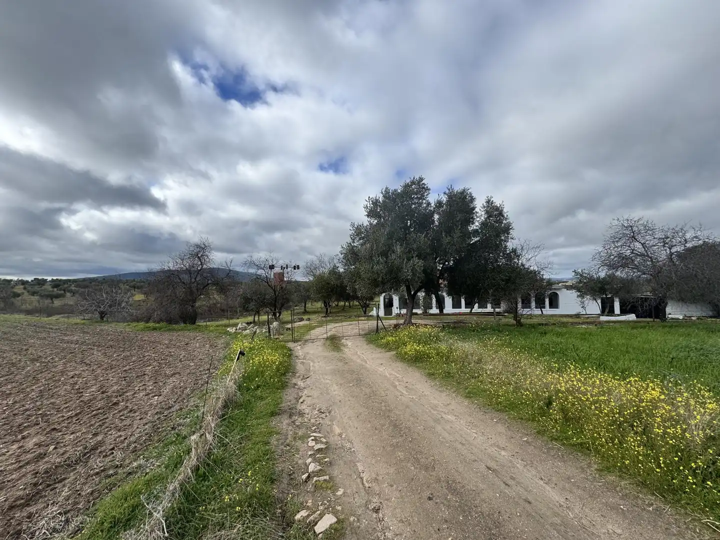 Finca rústica en venda a Avenida de la Constitución, 11, La Haba Finca rústica en venda en La Haba