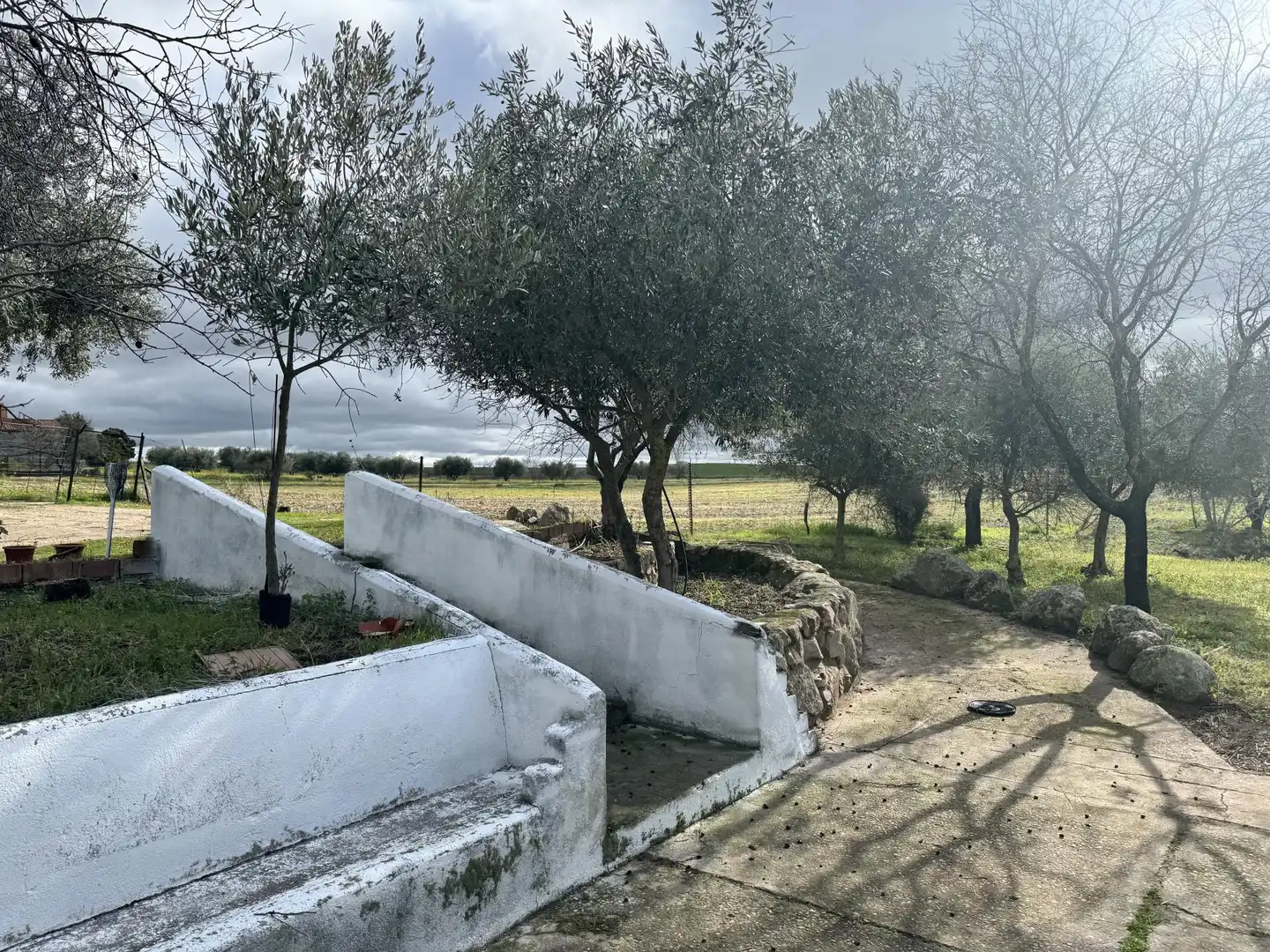 Finca rústica en venda a Avenida de la Constitución, 11, La Haba Jardí de Finca rústica en venda en La Haba