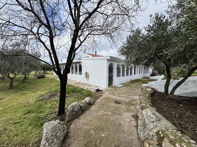 Finca rústica en Venta en Avenida de la Constitución, 11 en La Haba