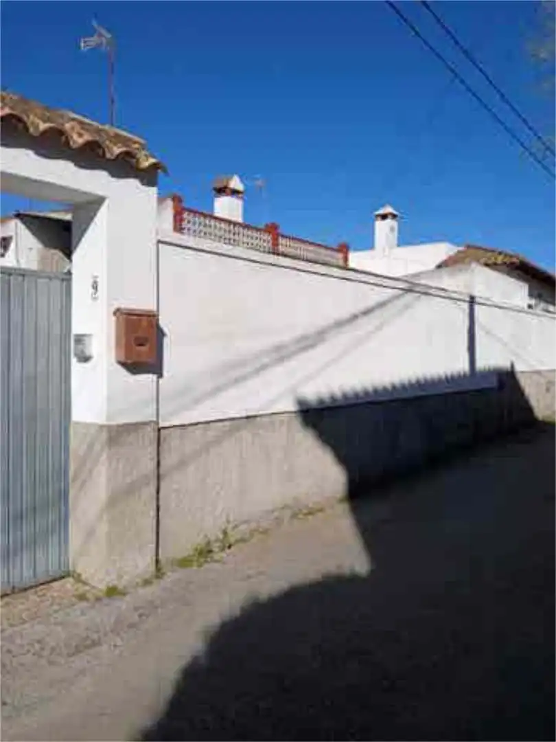 Exterior view of Single-family semi-detached for sale in Chiclana de la Frontera