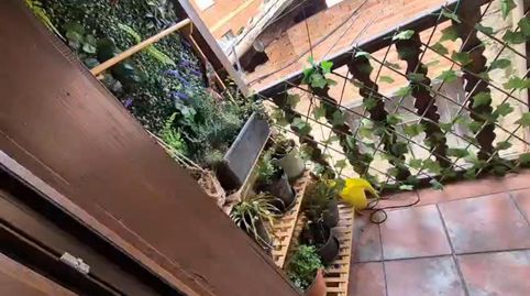 Foto 2 de Casa adosada en venta en Calle de la Fuente, 33, Valverde de la Vera, Cáceres