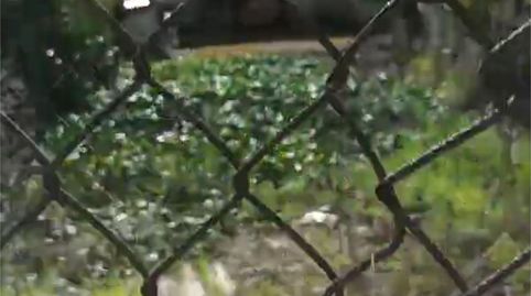 Casa adosada en venda a Travesia Real, 3, Compostilla - Columbrianos, Ponferrada - imatge 5 Foto 5 de Casa adosada en venda a Travesia Real, 3, Compostilla - Columbrianos, Ponferrada